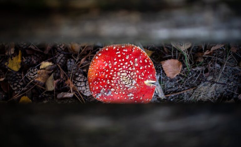 Therapy session pricing